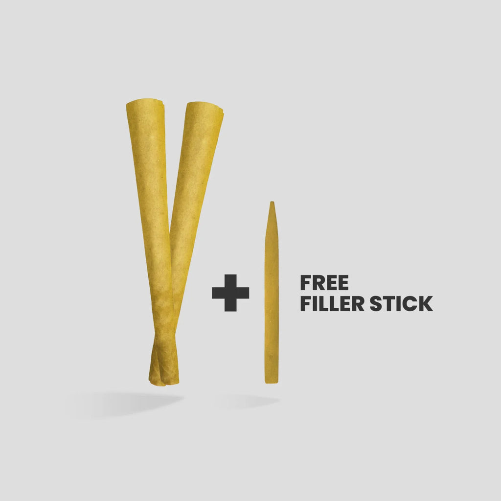 Fruit Guts 2 Pack Cones - Mango Cream