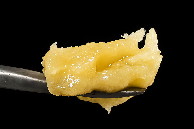 Gummy Bear OG Live Rosin 1 Gram