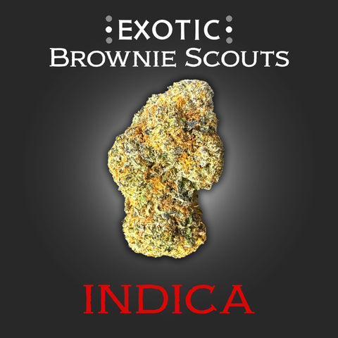 Brownie Scouts