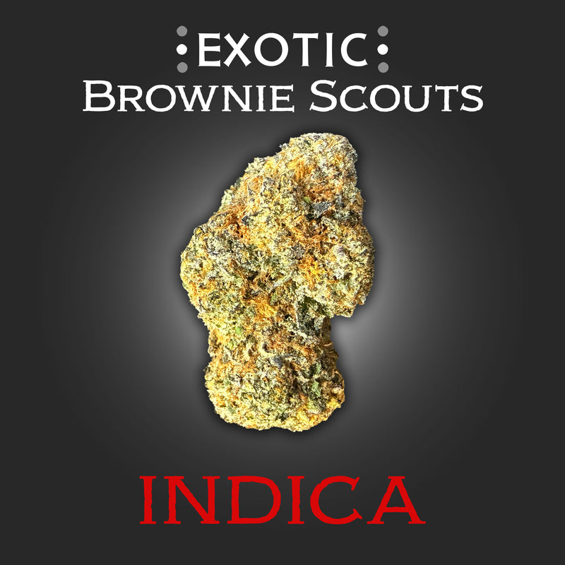 Brownie Scouts