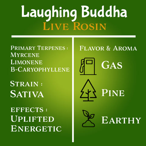 Nu Regimen THCa Disposable 2 Gram Live Rosin