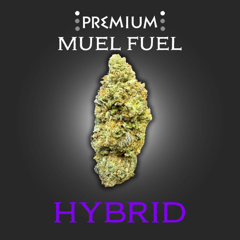 Mule Fuel Premium-HYBRID