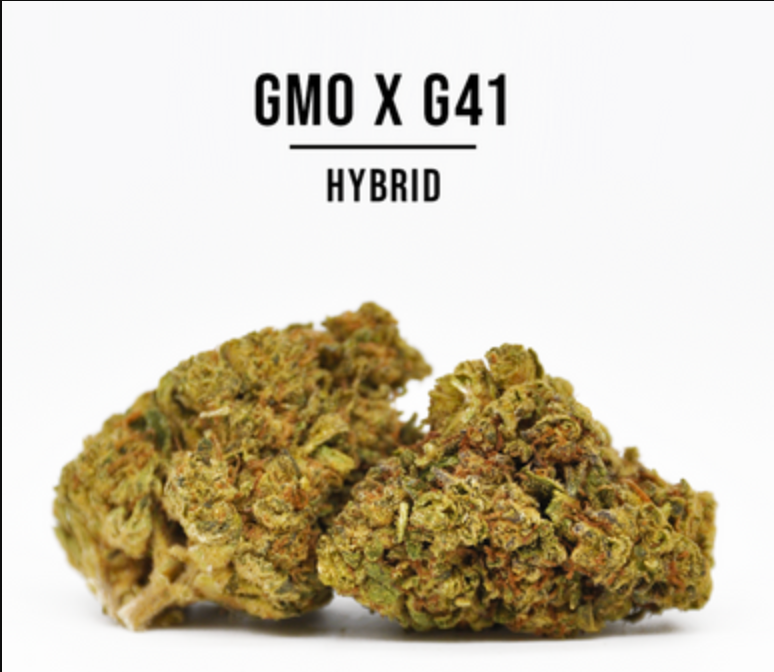 THCa Hemp Flower, GMO x G41