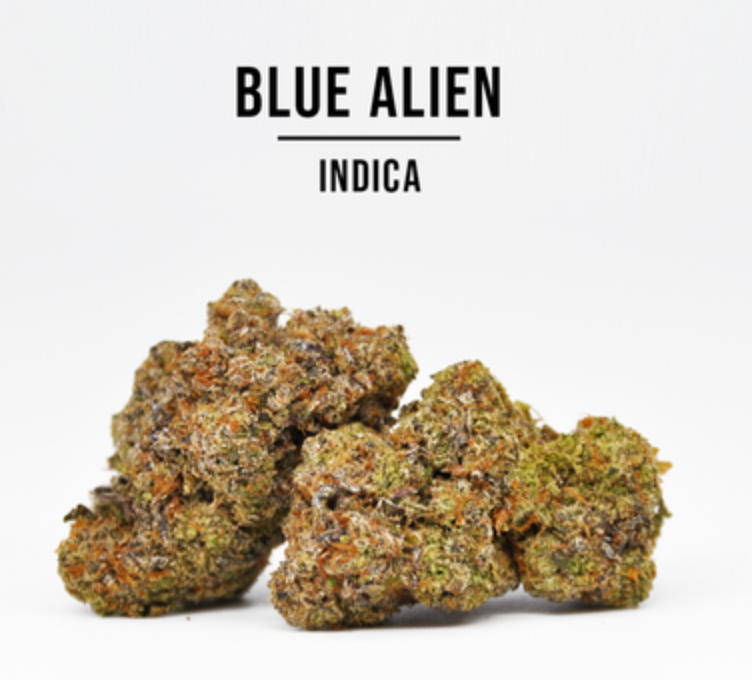 THCa Hemp Flower, Blue Alien