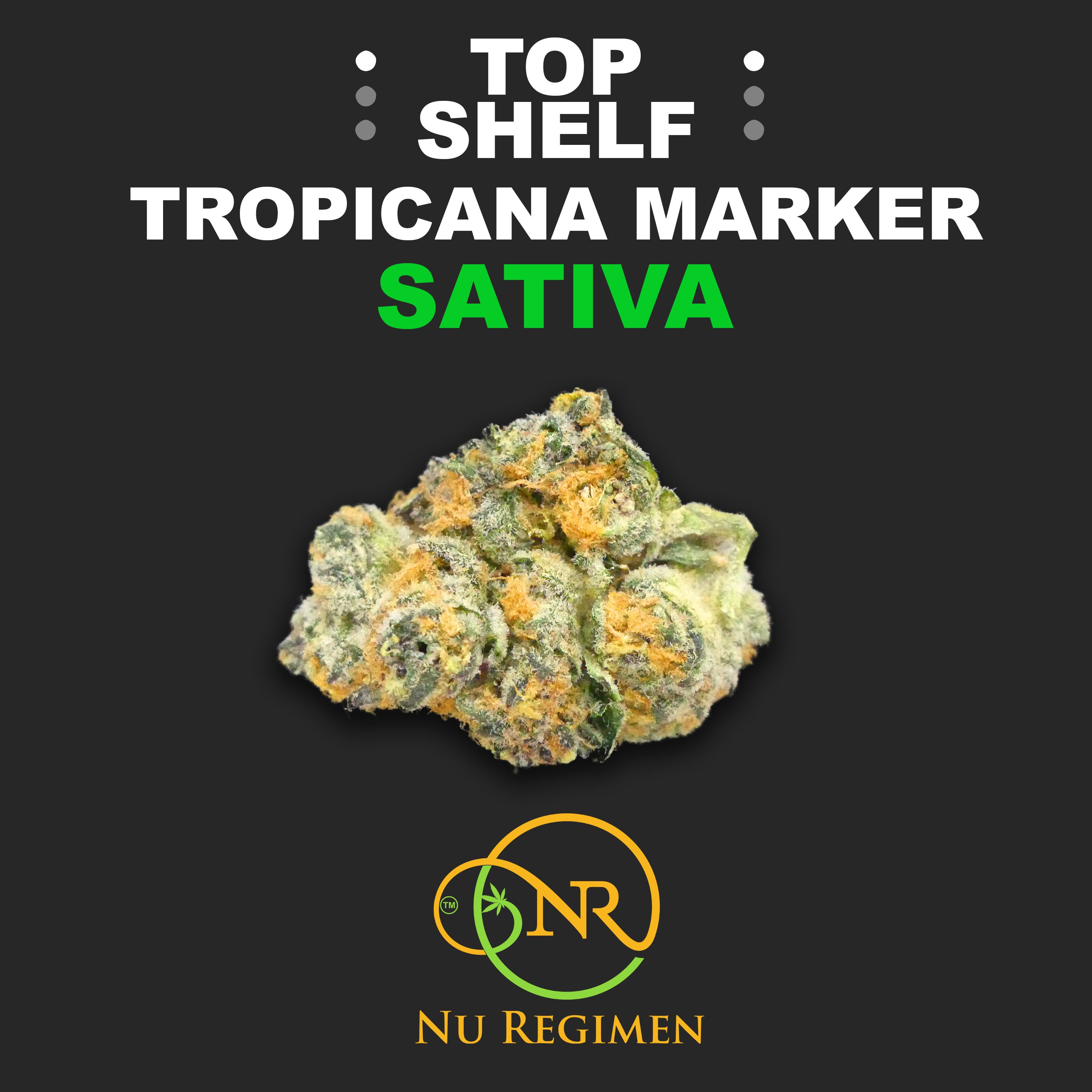 THC-A Flower: Tropicana Marker SATIVA