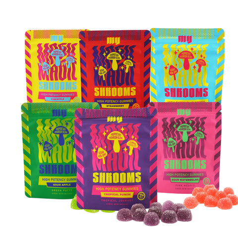 Bundles / Starter Kits